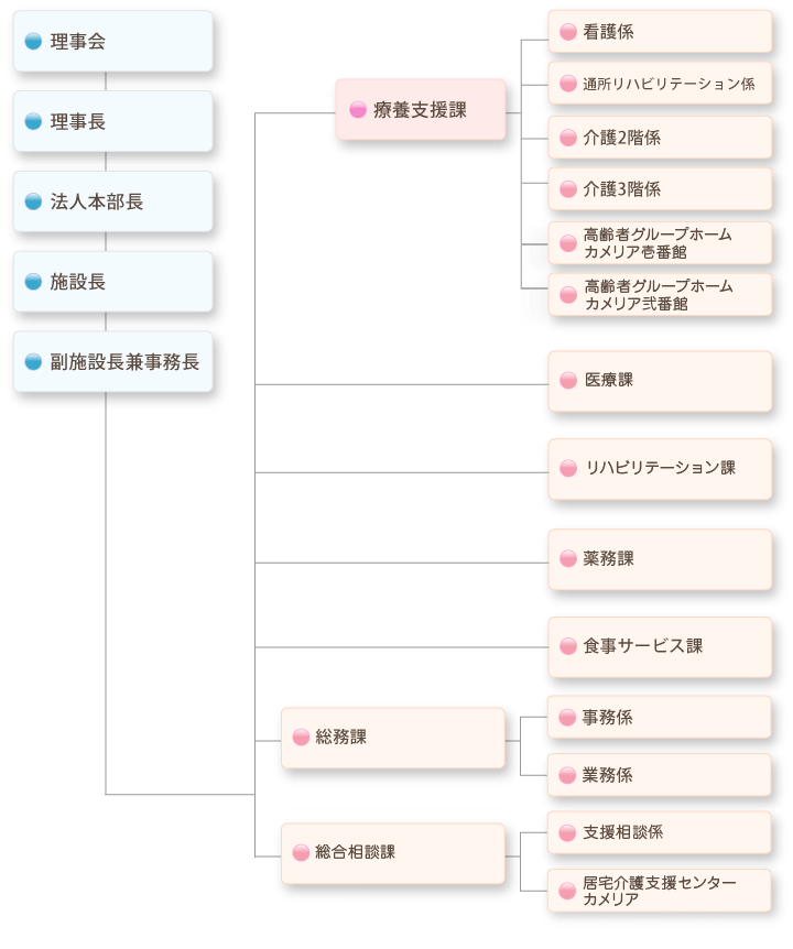 新横浜介護老人保健施設　カメリア　組織図